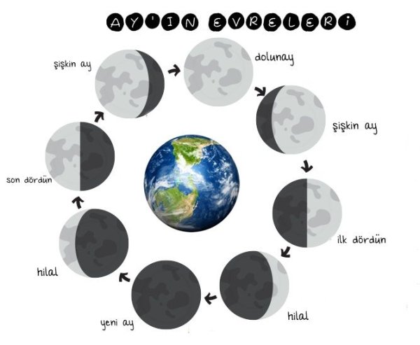 Фазы Луны поделки для детей