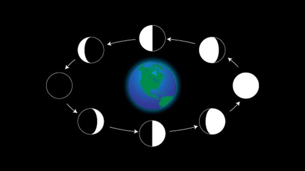 Фазы Луны новолуние первая четверть
