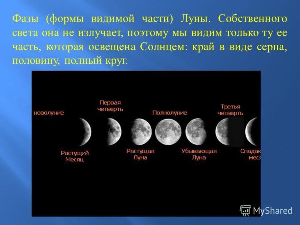 Фазы видимой части Луны