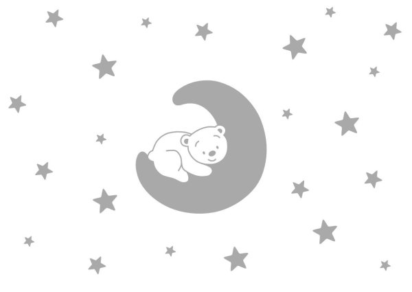 Спящий мишка на Луне