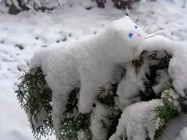Снежный кот из снега