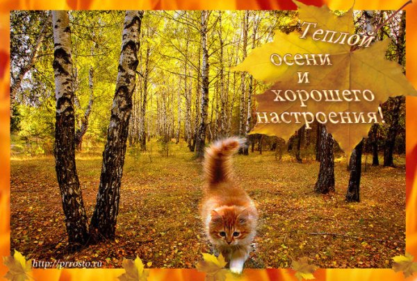 Теплой осени и хорошего настроения