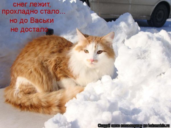 Задолбал снег