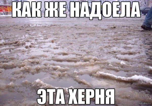 Дождь зимой приколы