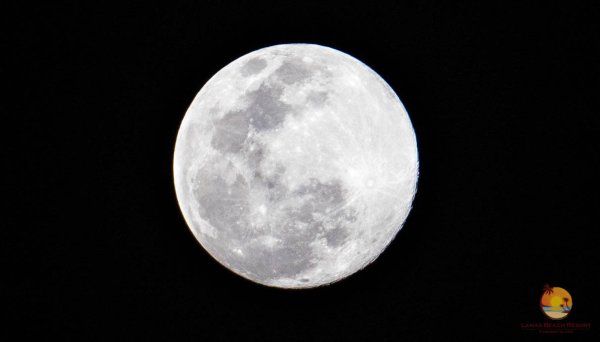 Бело лунный цвет