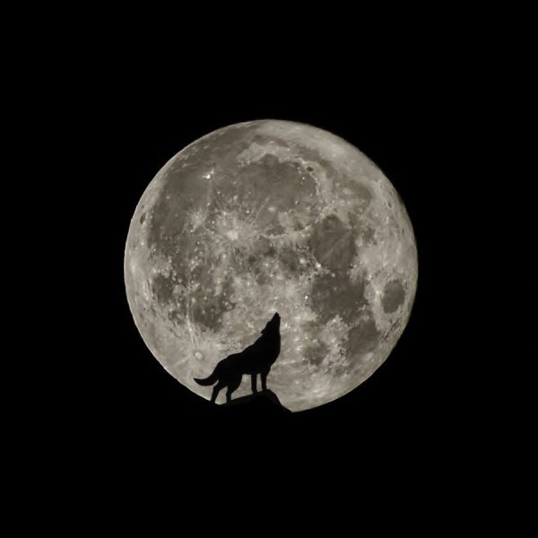 Луна черно белая