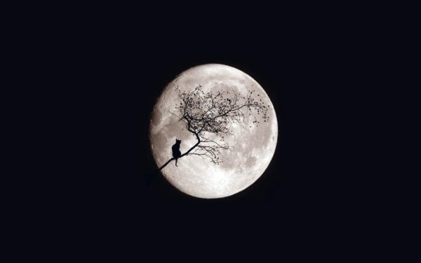 Луна черно белая