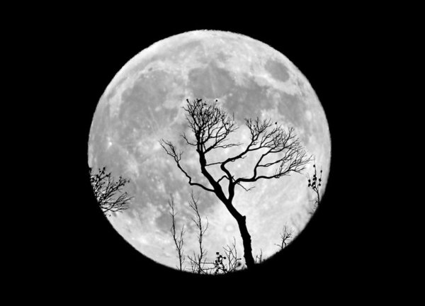 Нарисовать луну