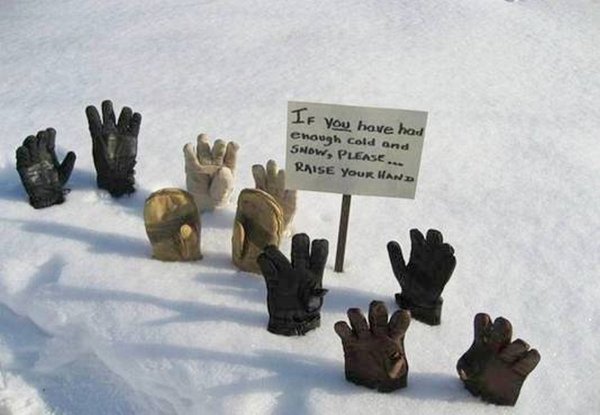 Снег мы сдаемся