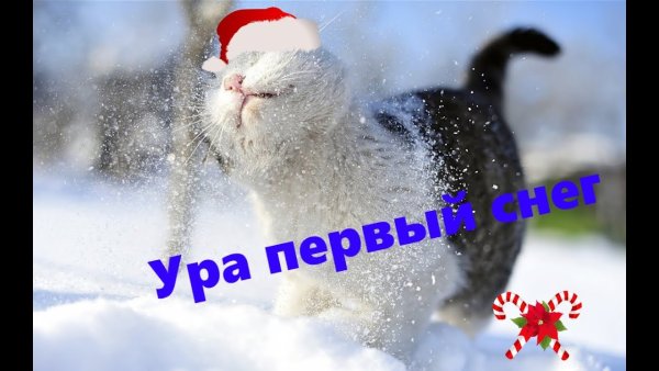Ура снег выпал
