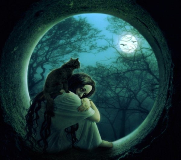 Сновидения мистика