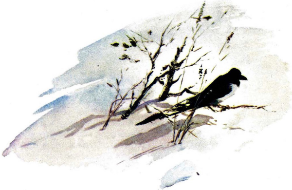 Константин Паустовский прощание с летом