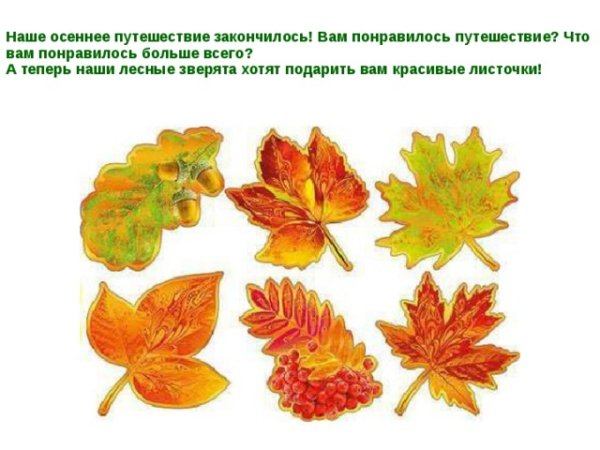 Осенние листочки для оформления