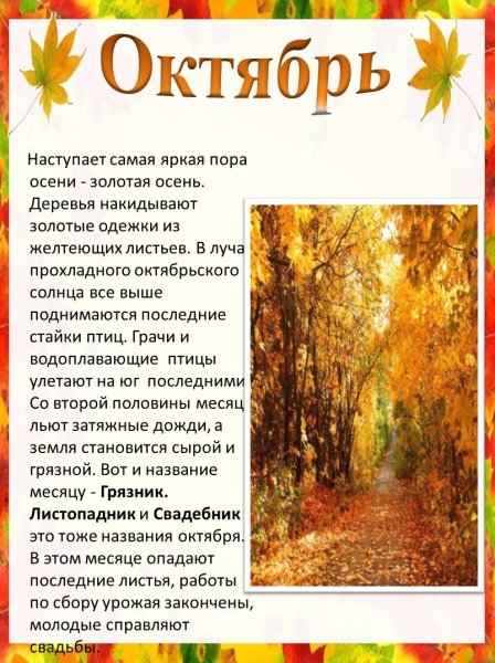 Уголок природы осень