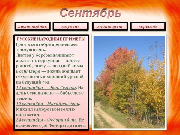 Наблюдения за осенними изменениями в природе