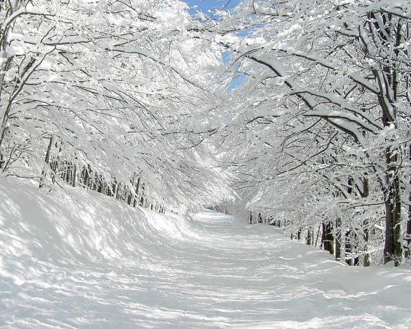 Фон для рабочего стола зима