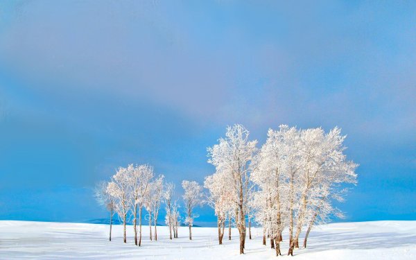 Зимнее небо