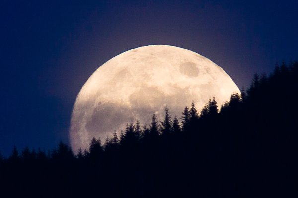 Большая круглая Луна
