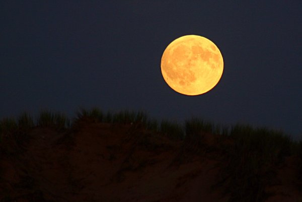 Полная желтая Луна