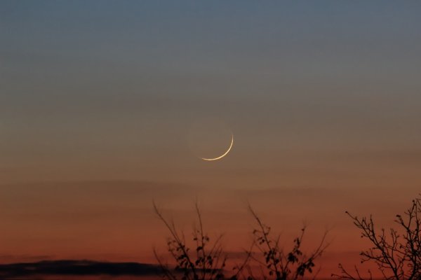 Фото молодой Луны