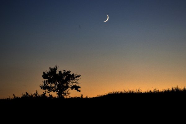 Молодая Луна