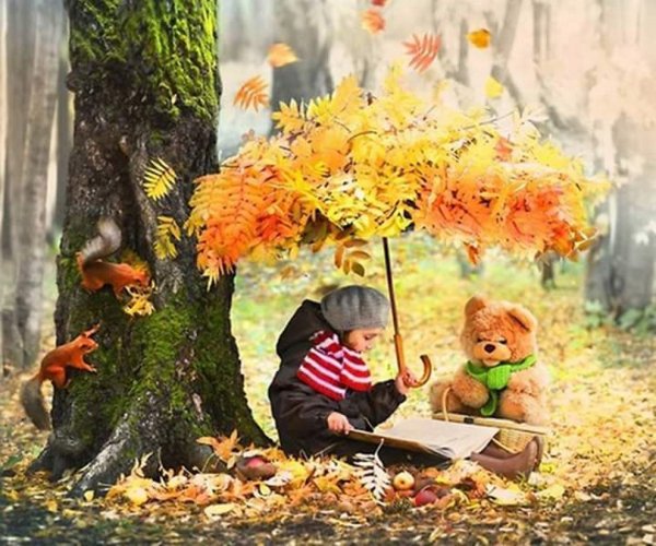 Осенние сказки для детей