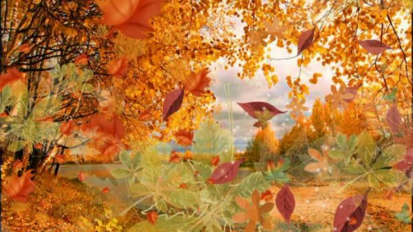 Шумели листья облетая Бунин