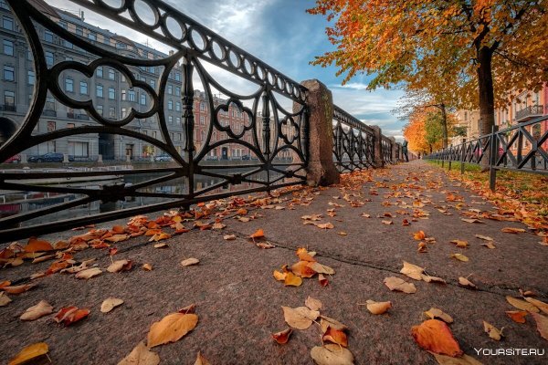 Улица Чайковского Санкт-Петербург осень