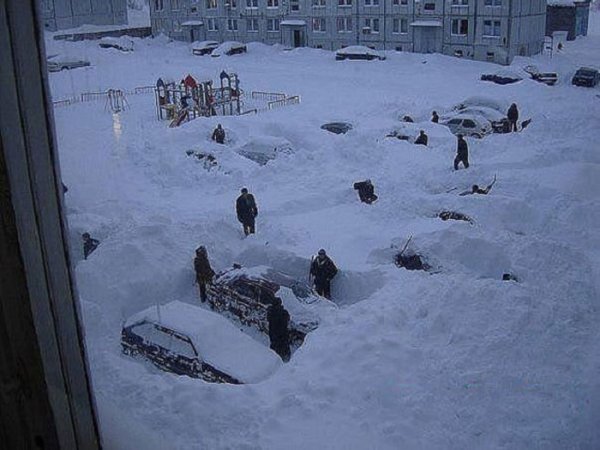 Приколы про снег