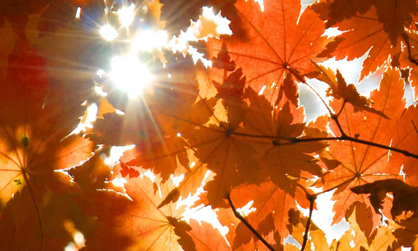 С днем осеннего равноденствия осеннего