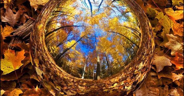 День осень равноденствия