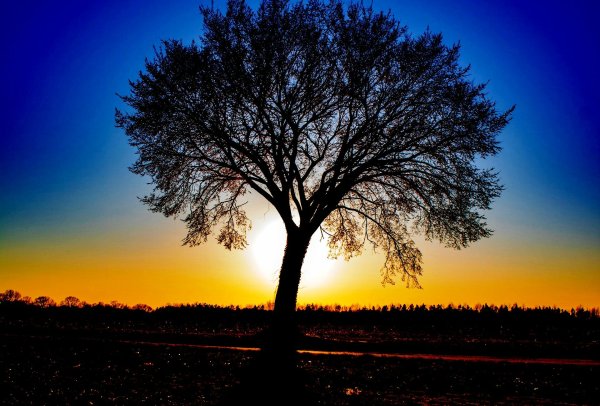 Осеннее равноденствие гравюра