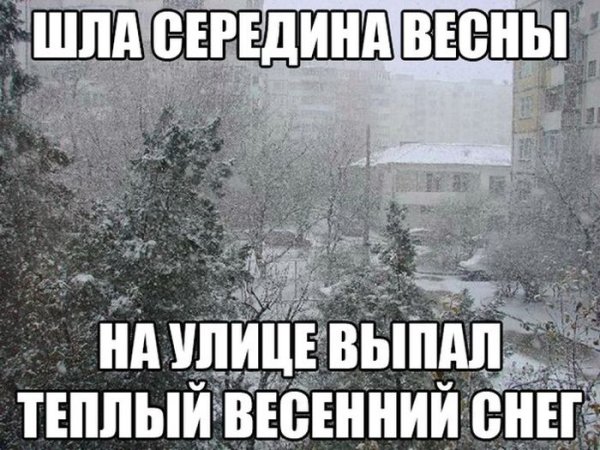 Снег в апреле приколы