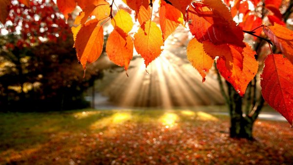 Осень равноденствие когда