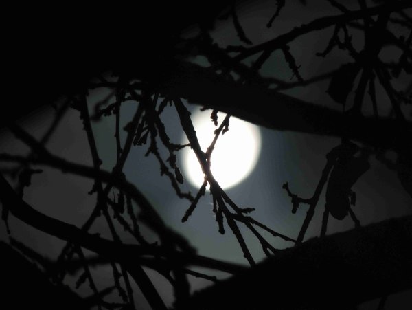 Луна в окне