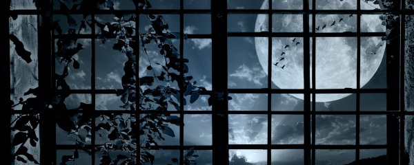 Мистический вид из окна