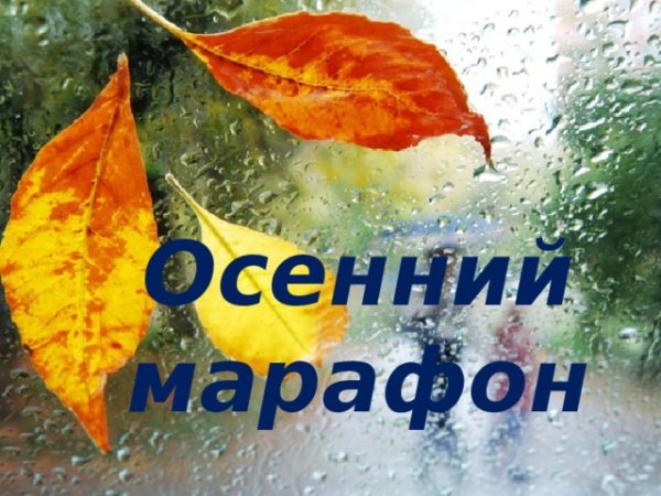 Осенний марафон ноябрь