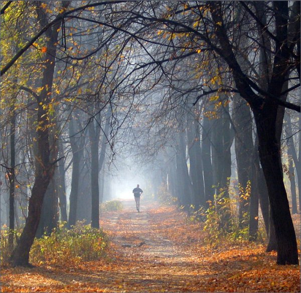 Осенний фотомарафон