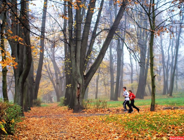 Марафон осенью