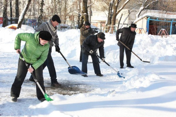 Зимний субботник