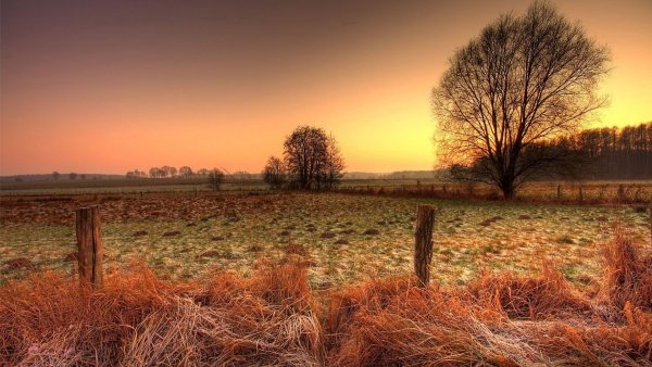 Поле поздней осенью