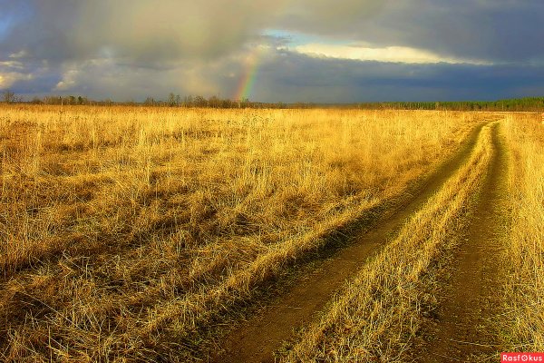 Поле осенью