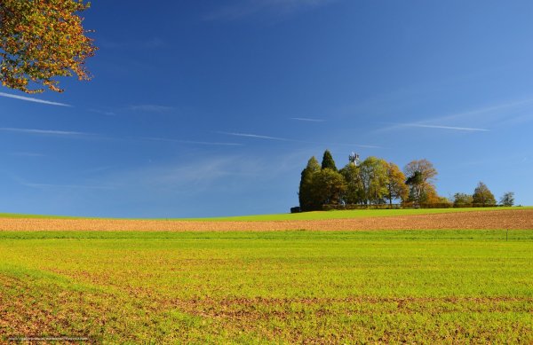 Поле осенью