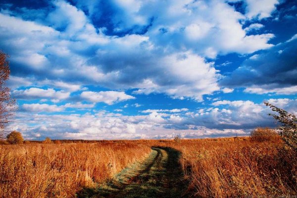 Поле осенью