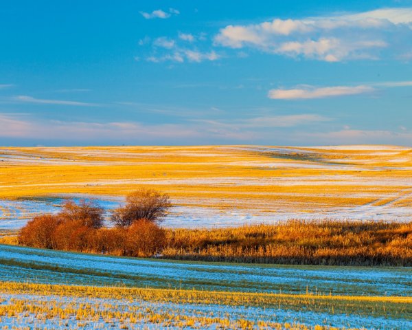 Поле осенью