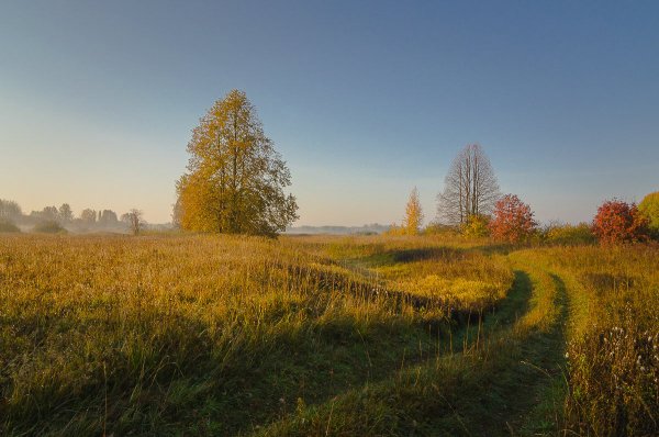 Поля и Луга осенью