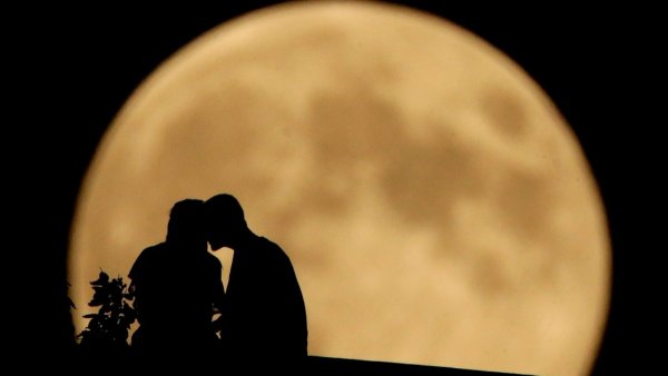 Парочка на фоне Луны