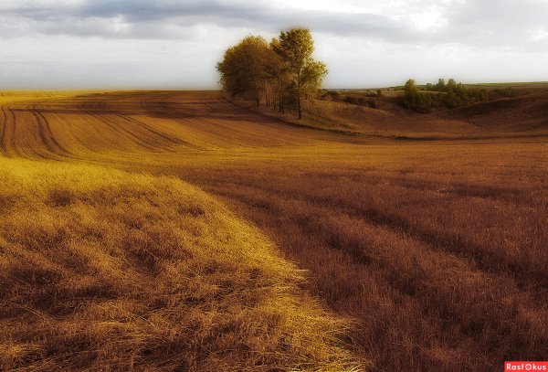 Лазурь на поле