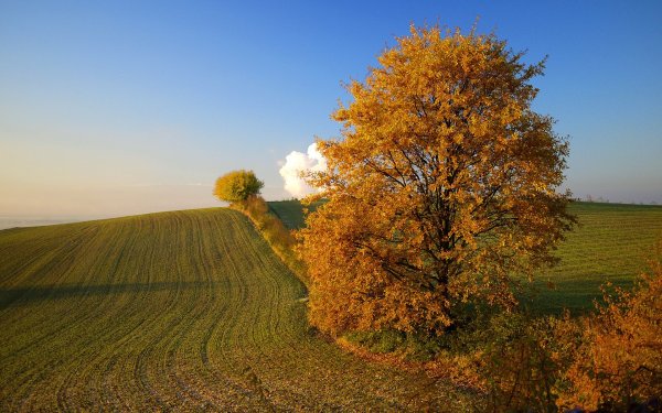 Холмы ранней осени