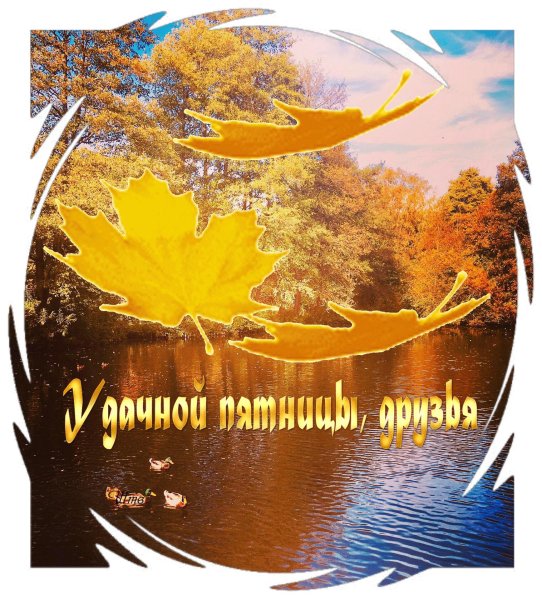 Добрый день пятница осень